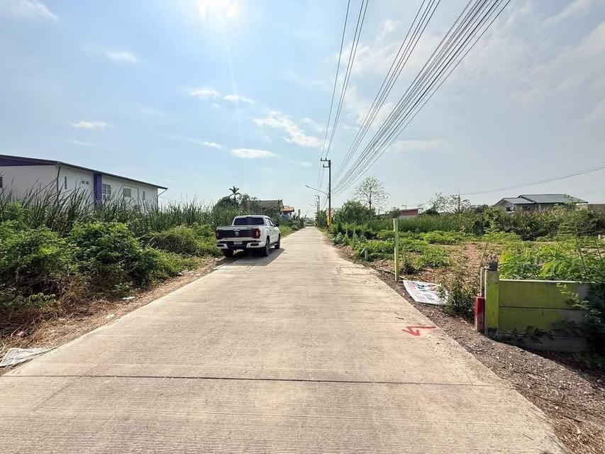 ขายด่วนที่ดิน 75 ตารางวา ติดถนนคอนกรีตสาธารณะ บงกช43 คลองหลวง ปทุมธานี 4