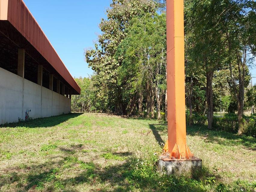 ขาย/ให้เช่าที่ดินเชียงราย 4