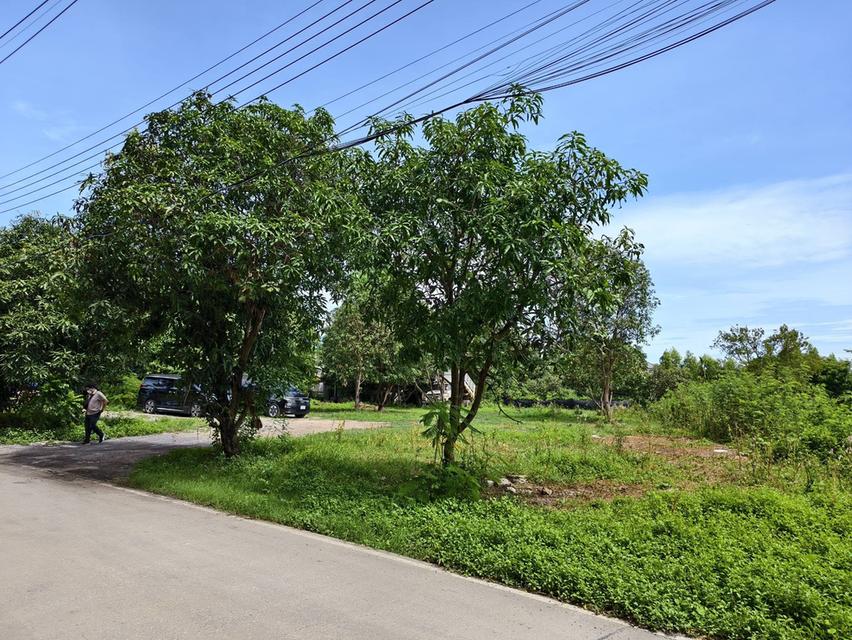 ขายที่ดิน ราชพฤกษ์ ซอย 18 คอร์ด หรือ เข้าบางพลับซอย 2 ชัยพฤษ ที่ดินสวย ถมแล้ว พร้อมสร้างบ้าน ทำเลดี บรรยากาศร่มรื่ 2