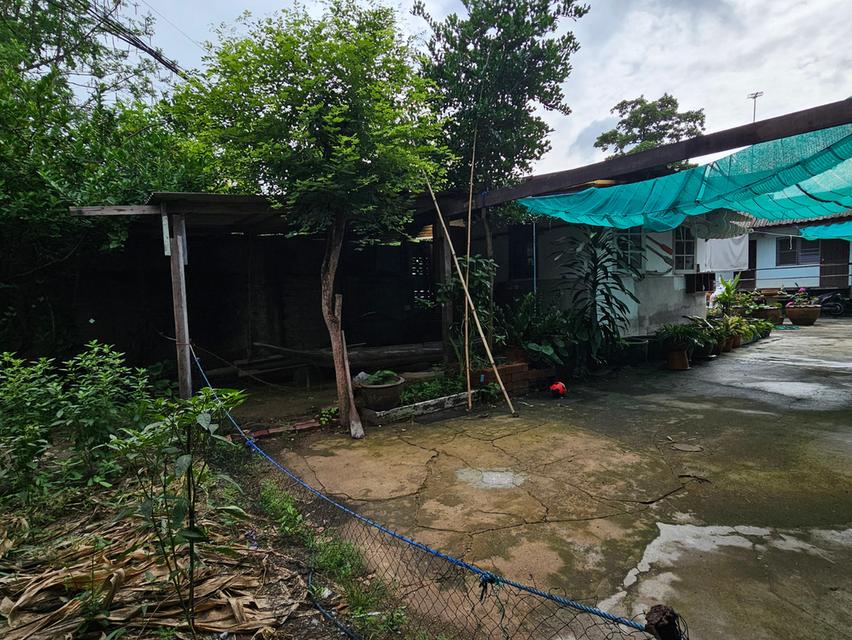 🏡 ขายด่วน❗️ที่ดินแปลงมุมติดถนนซอย พร้อมบ้านครึ่งปูนครึ่งไม้ และห้องเช่า 8 ห้อง ซอยรามอินทรา 47 16