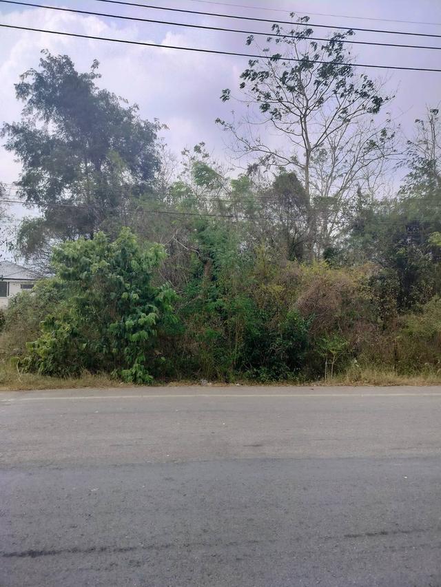 ขายที่ดินเปล่า(3ไร่ 2งาน) ใกล้บ้านจัดสรร ติดถนนสุวรรณศร33 ราคา5000000บาท 1