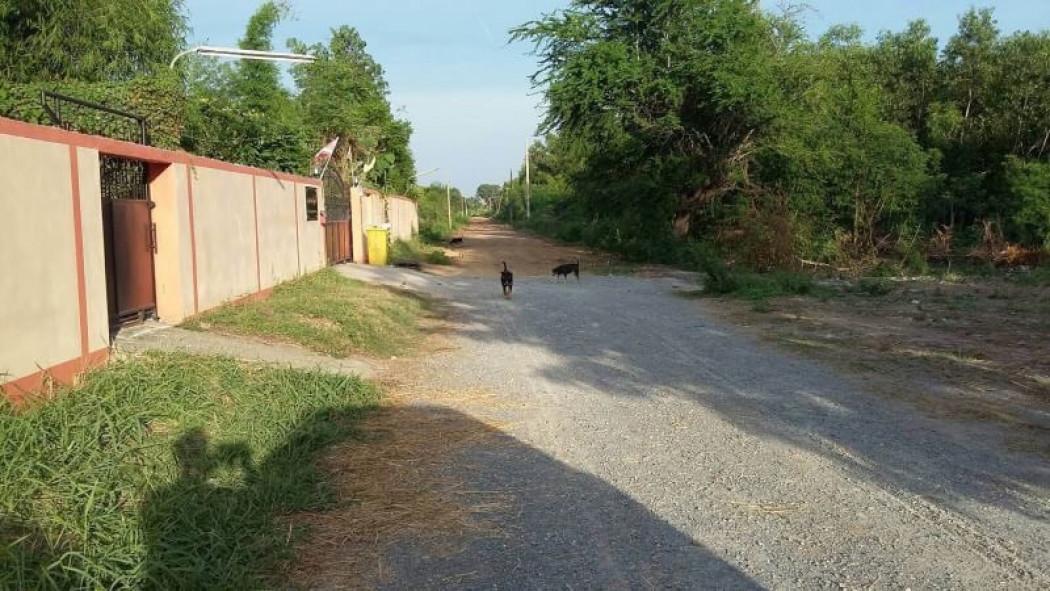 ขาย ที่ดิน ตรงข้าม โรงเรียนสารสาสน์วิเทศ บางบัวทอง นนทบุรี 2