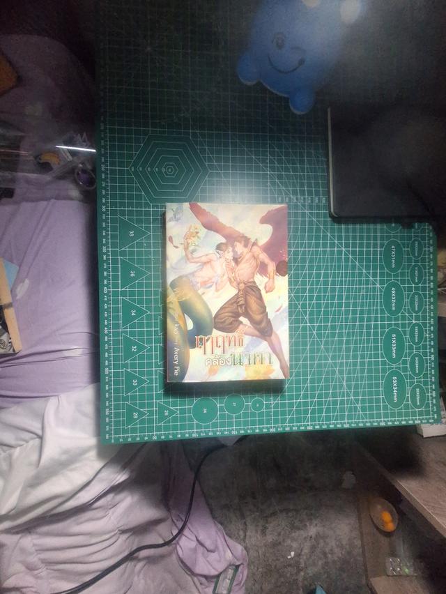 หนังสือนิยายวาย เรื่อง ฤาฤทธิ์คล้องนาคา (มือสองมีรอยชำรุด4จุด) รูปย่อยที่ 3