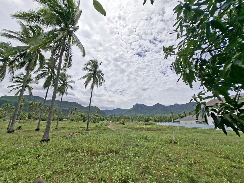 ที่ดินวามร้อยยอดใกล้ชายหาดสามร้อยยิด1.3กม.