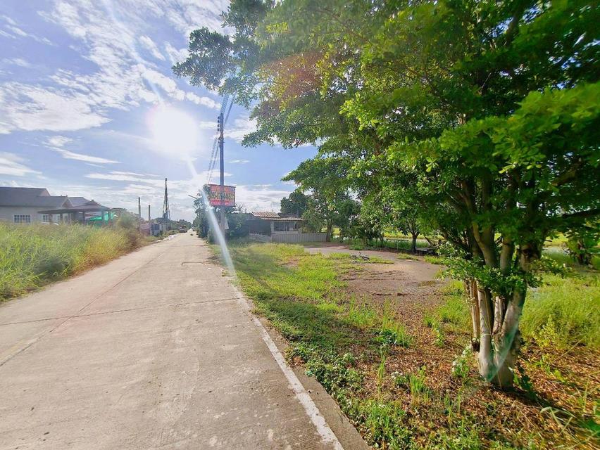 ขายด่วนที่ดิน 100 ตาว ติดถนนคอนกรีตสาธารณะ ถมแล้ว ซ.คลองสี่ตะวันตก 34/1  อ.คลองหลวง จ.ปทุมธานี 4