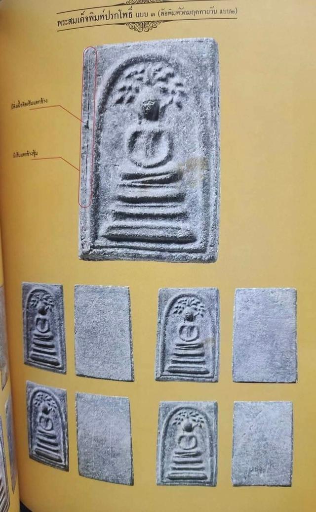 ปรกโพธิ์หลวงปู่ลำภู  3