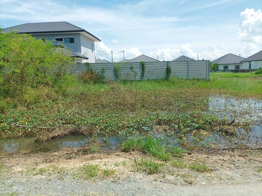 ขายที่ดิน 60 ตร.ว. ต.ตลาดขวัญ อ.ดอยสะเก็ด จ.เชียงใหม่ 1