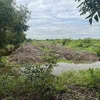 ขายด่วน ที่ดิน 100ไร่ ติดถนนเลียบคลอง 13 สายกลาง ปทุมธานี 9