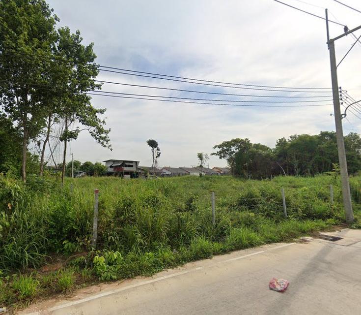 ขายที่ดินพัทยาหนองปรือ 1 ไร่ ติดถนน2ด้านซอยหนองไม้แก่น17 อ.บางละมุง ชลบุรี