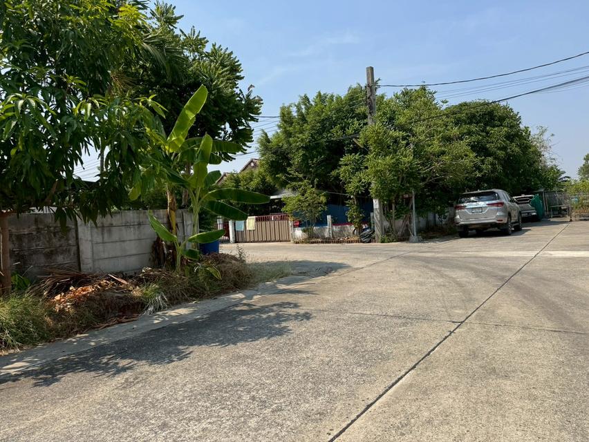 ขายบ้านเดี่ยว หนองจอก **ราคาพิเศษ บ้านร่มรื่นน่าอยู่** (N.2072) 4