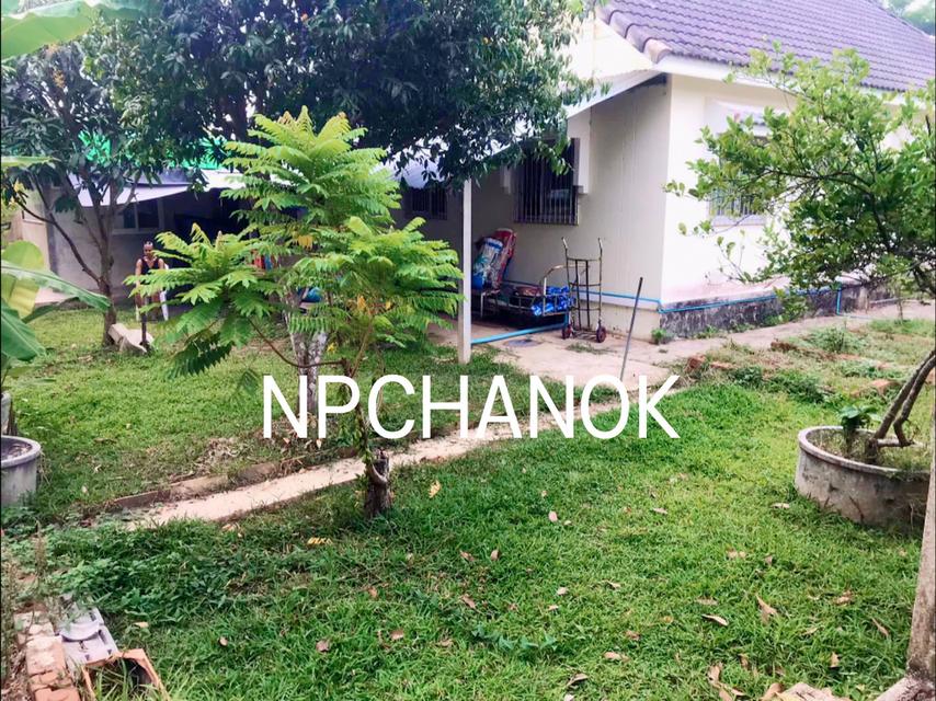 ขายบ้านเดี่ยว นครนายก วิวเขา สงบ 18