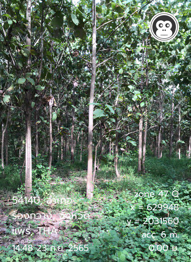 ขายที่ดินพร้อมสวนไม้สักทอง เนื้อที่ 40 ไร่ อยู่ในพื้นที่ชุมชน อำเภอร้องกวาง จังหวัดแพร่ โทร 061 298 4753 1