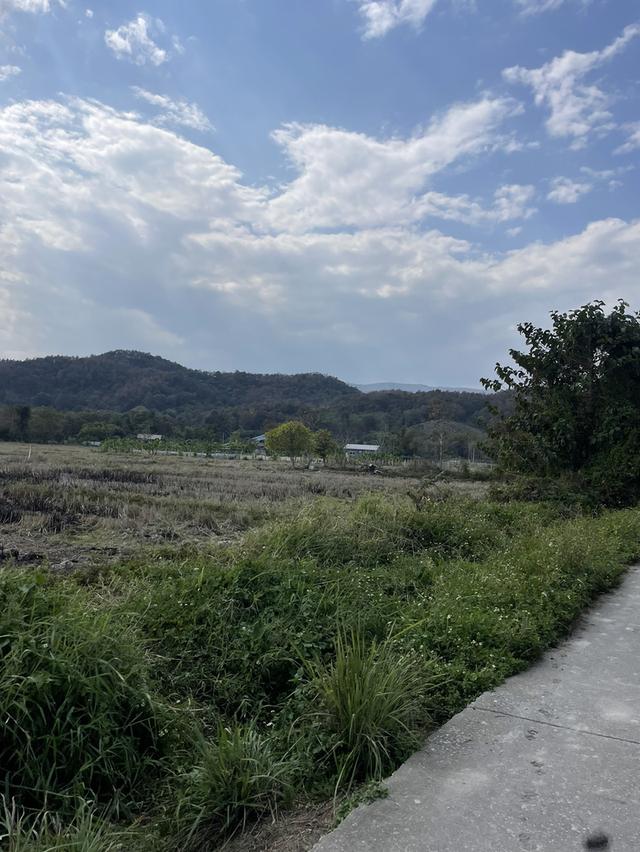 ที่ดินเชียงราย 5 ไร่ 3