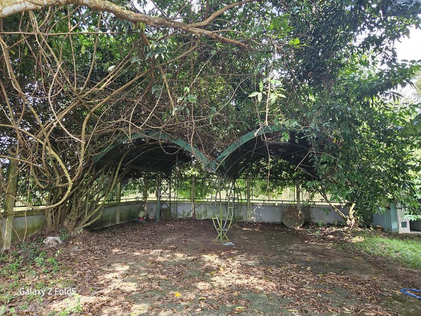 ที่ดินติดถนนสาย 33 ปราจีนบุรี 12