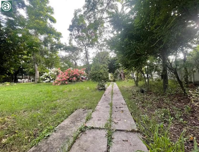 ขายที่ดินเปล่าถมแล้ว 175 ตร.วา ใกล้รถไฟฟ้า 290 เมตร ทำเลดีที่สุดในปากน้ำ สุขุมวิท สมุทรปราการ เจ้าของขายเอง 091-751-3045 7