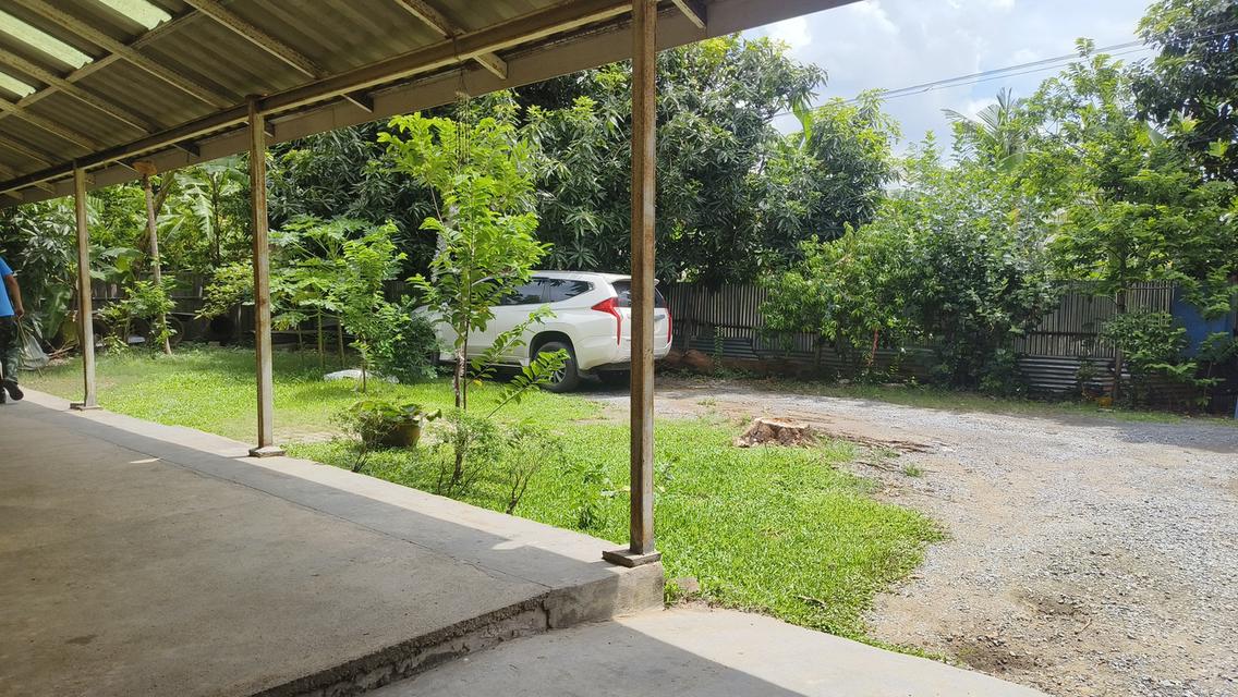ขายบ้านกลางเมือง ร่มรื่น อากาศดี 3
