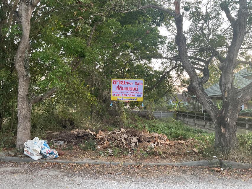 ที่ดินเปล่าใกล้ทะเล โครงการบางซองลากูน ปึกเตียน เพชรบุรี 2000000 บาท 5