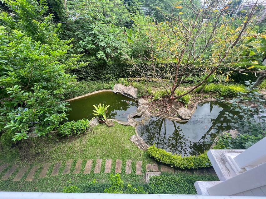 ปล่อยเช่า คอนโดบ้านทิวเขา เขาใหญ่ 11