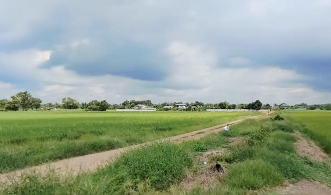 ขายที่ดินคลองหลวงคลองห้า 4