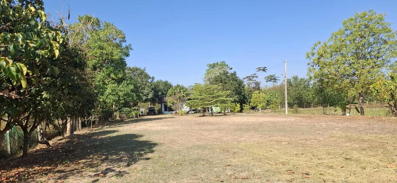 5 ไร่ ทางเข้าไทวัสดุ  โคราช บายพาส ปักธงชัย - จอหอ  9.8 ล้าน 15