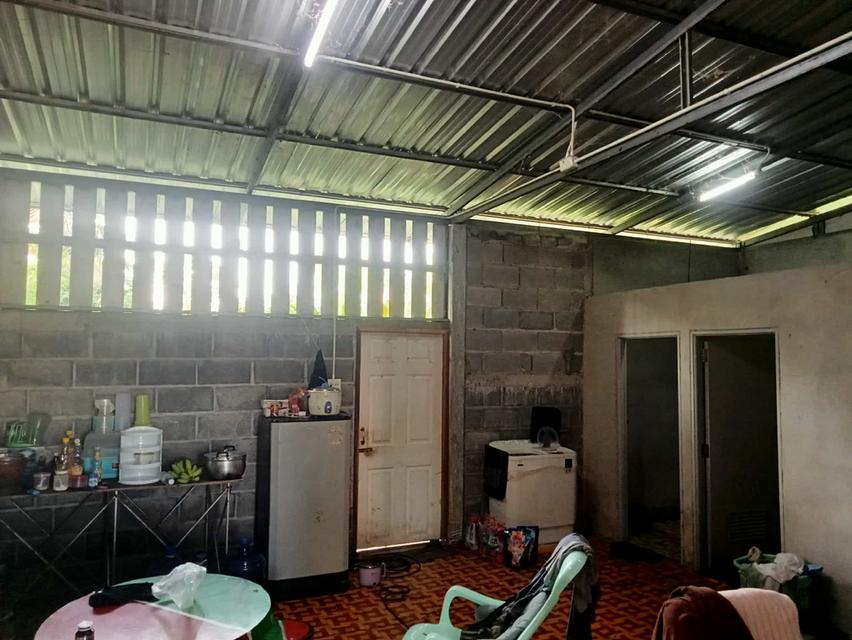 ขายบ้านพร้อมที่ดิน2ชั้น ตำบลหลุมข้าว อำเภอโนนสูง จังหวัดนครราชสีมา 3