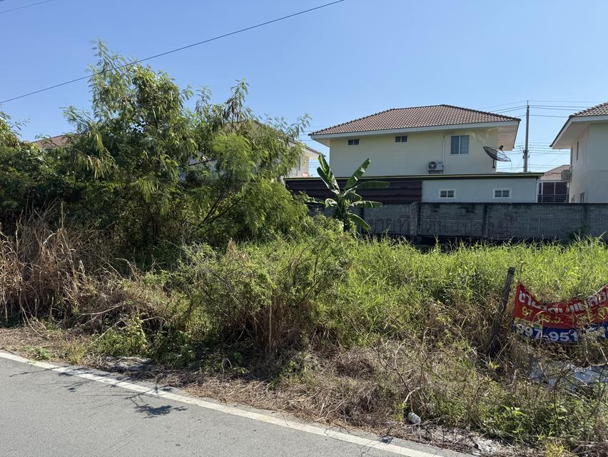 ที่ดินถมแล้ว ไทรน้อย 3