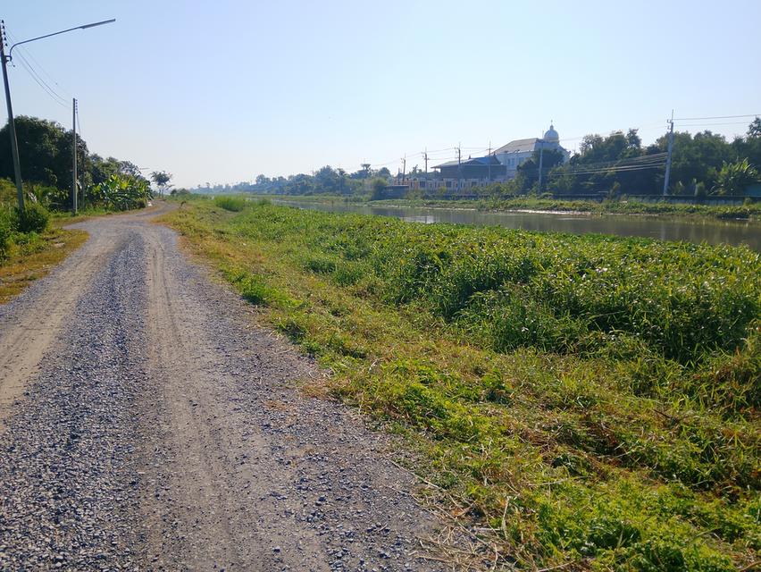 ที่ดินว่างเปล่า 5 ไร่ 1,200,0000 บาท 2