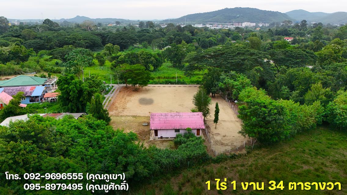 ขายที่ดินโซนเมืองปากช่อง 1 ไร่ 1 งาน 34 ตารางวา 10