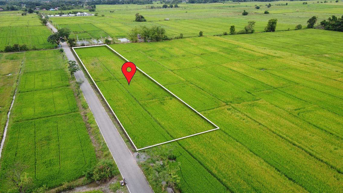 🌄 ขายที่ดิน 2-3-49 ไร่ น้ำ-ไฟ-เน็ตพร้อม หน้ากว้างติดถนนสุดๆ 4