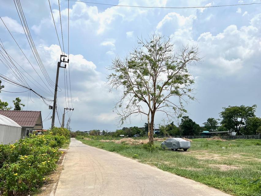 ขายที่ดินเปล่า (ถมแล้ว) ถนนสุขาภิบาล 5 ซอย 82 4