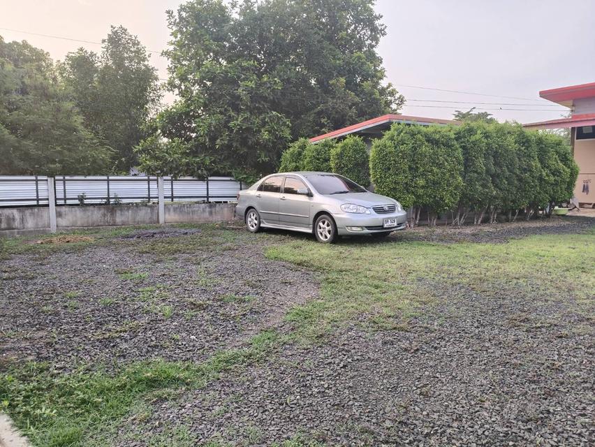 บ้านเดี่ยวพร้อม โรงงานผลิตน้ำดื่ม 3