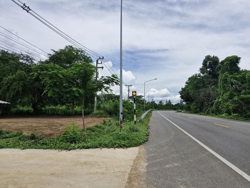 ขายที่ดิน300ตรว.ติดถนนทางหลวง3349ใกล้ รพ.หนองหญ้าปล้อง เพชรบุรี 3