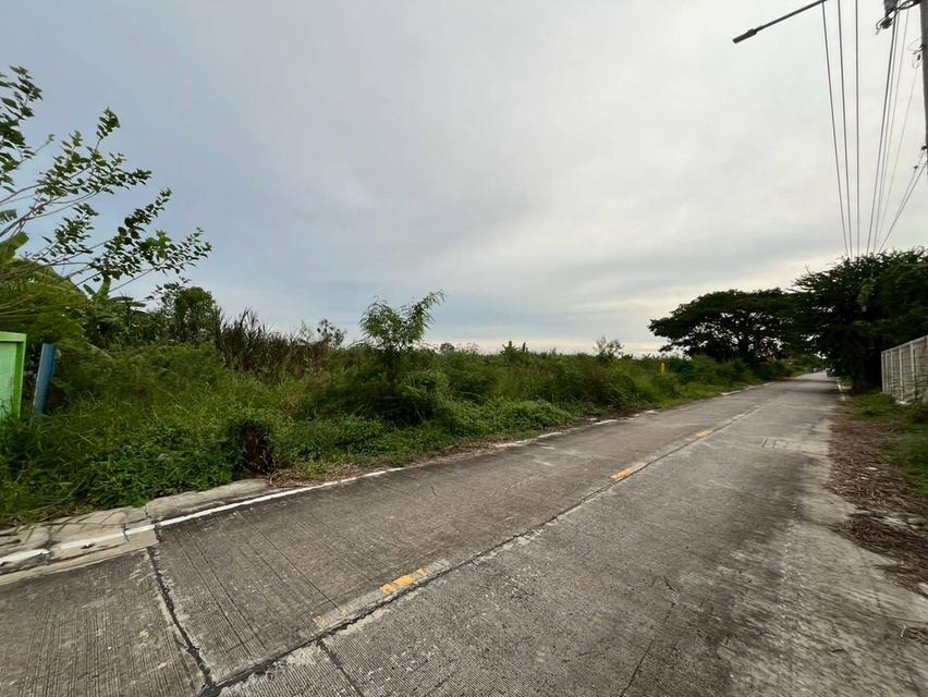 ขายที่ดินเปล่า ปิ่นทองแลนด์ซอย2​ ไทรน้อย นนทบุรี 2