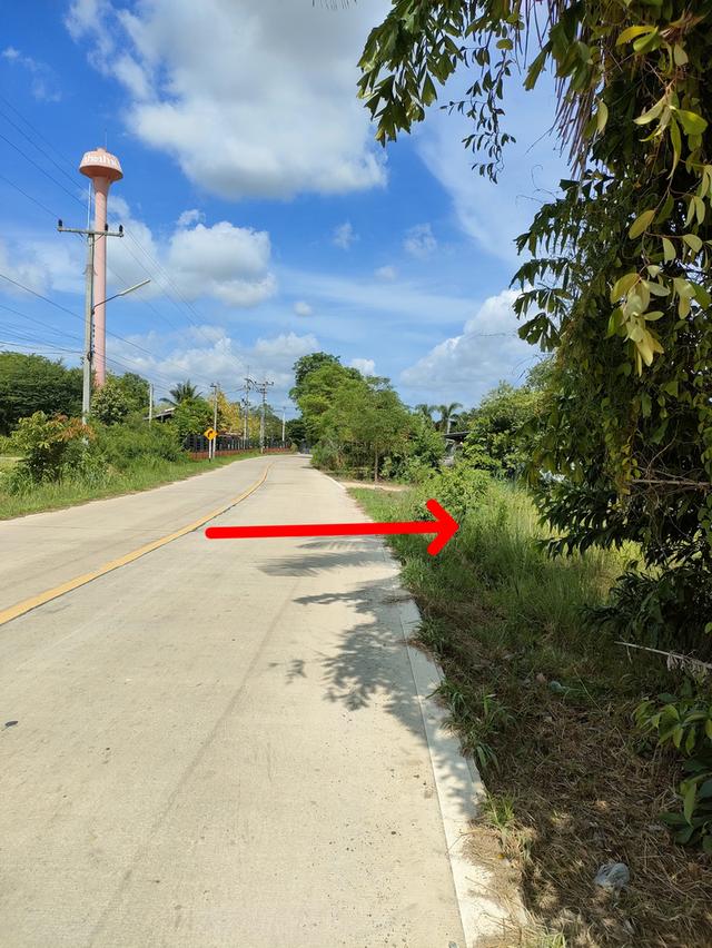 ที่ดินเปล่า อ.พนัสนิคม จ.ชลบุรี 1