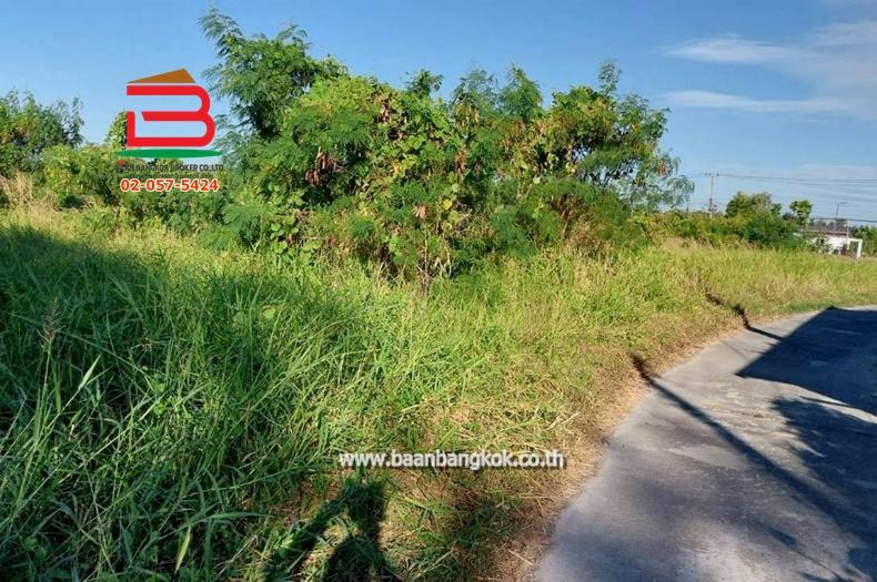 ที่ดินเปล่า เนื้อที่ 12-3-92.7 ไร่ ติดถนน Highway เส้น 3225 และ 3050 (ใกล้วัดพะเยาว์) ตำบลศาลารีไทย อำเภอเสาไห้ สระบุรี 9