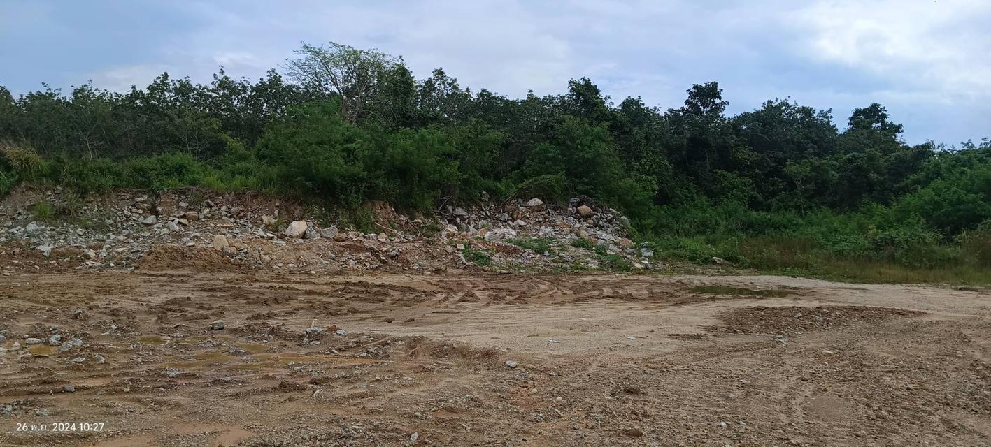 ขายที่ดินเปล่า ถลาง ภูเก็ต Land for Sale in Phuket 7