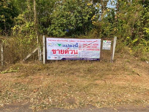 ขายที่ดินสวนยางพารา 37-2-80 ไร่ (รวม 5 แปลง) ต.นาพู่   อ.เพ็ญ   จ.อุดรธานี   1