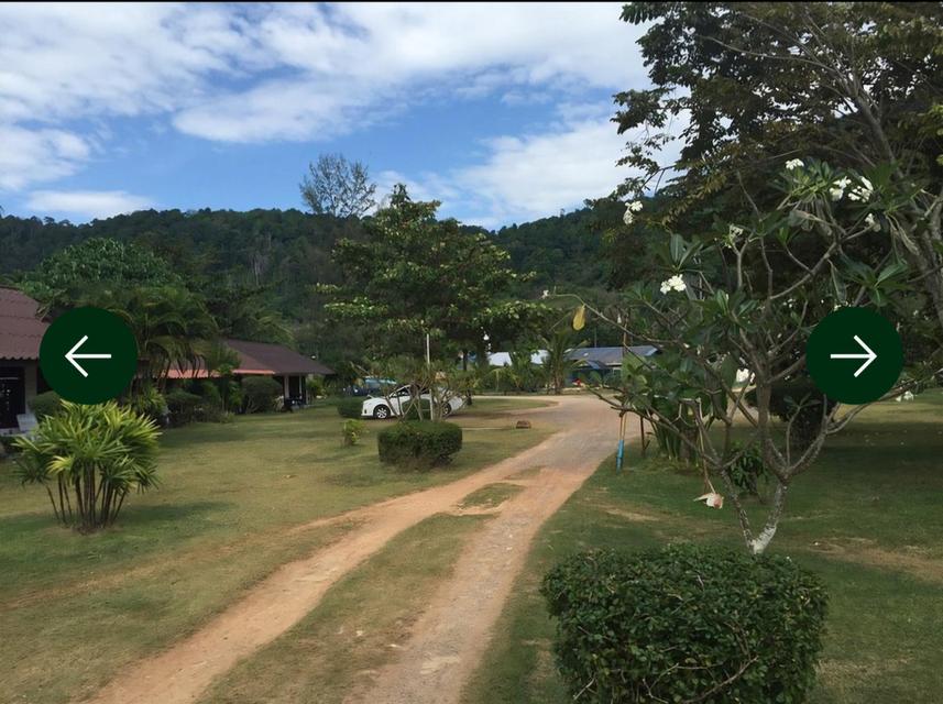 รีสอร์ท หาดคลองดาว เนื้อที่ 6 ไร่ 8