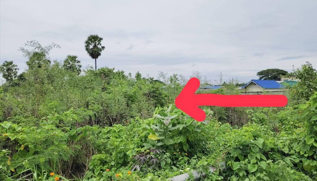 ขายที่ดินวิวเขาใกล้พุทธมณฑลจังหวัดสุพรรณบุรี 7