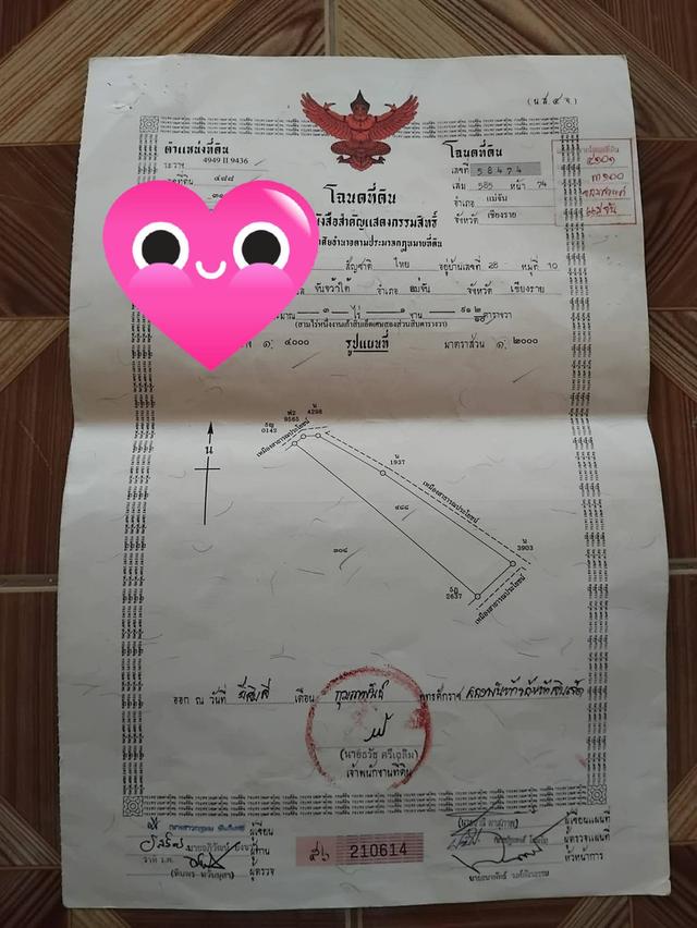ที่ดิน 3 ไร่อำเภอแม่จันจังหวัดเชียงราย 13