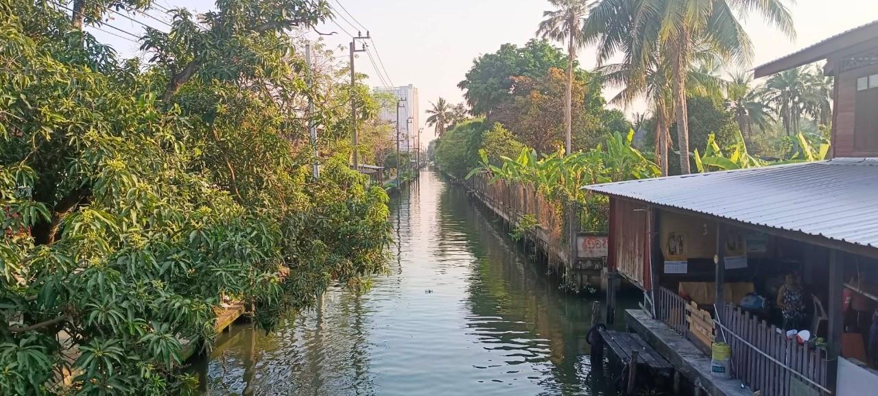 ขายที่ดินเปล่า ทำเลทองย่านพุทธมณฑลสาย 1 รวม 2 แปลง ไม่แยกขาย 12