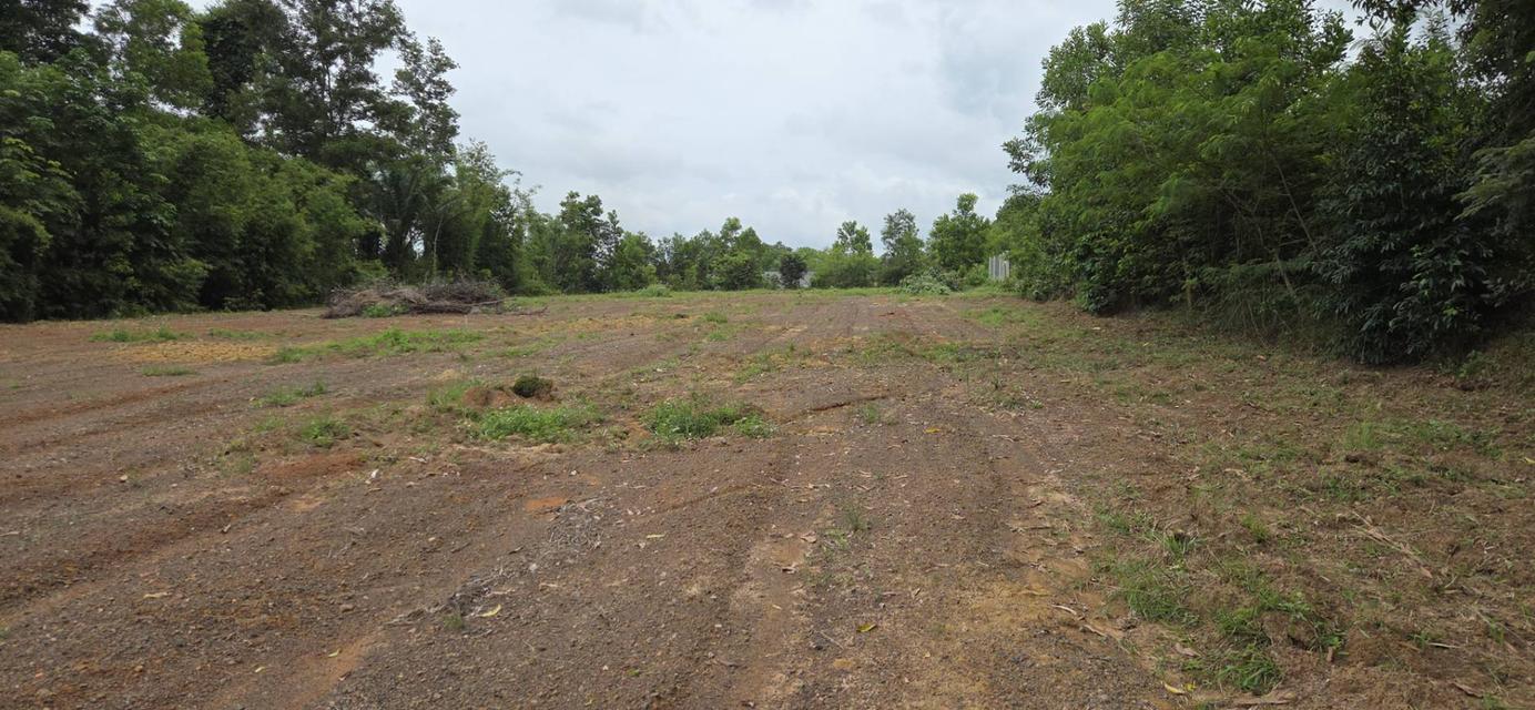 ที่ดิน ทำเลสวย กระบี่ 7