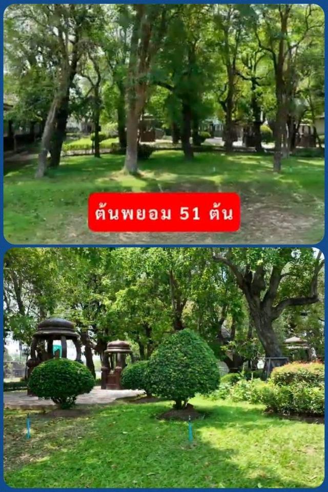 ขายที่ดิน สถานที่ท่องเที่ยวประจำจังหวัด อาศรมหมอชีวก สิงห์บุรี เกือบ 10 ไร่ พร้อมอาคารบ้านไม้สักเรือนไทยหลังใหญ่หลายอาคาร 12