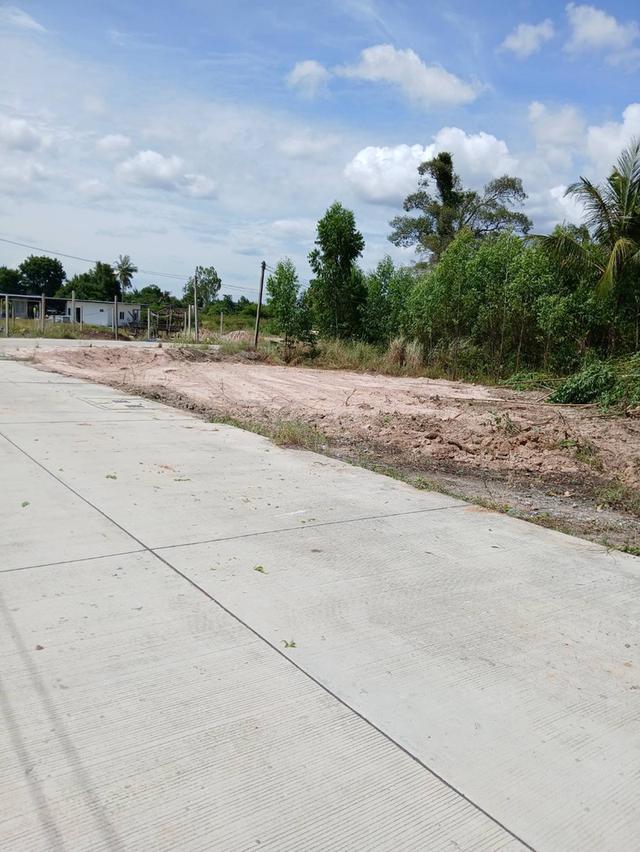 ขายที่ดินบึง หนองแขวะ 1 ไร่ ติดถนนคอนกรีตใกล้ท่าเรือแหลมฉบัง-9กม. อ.ศรีราชา ชลบุรี