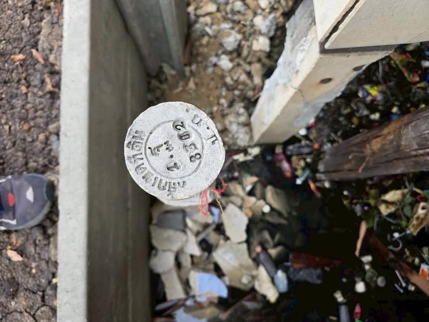 ขายด่วนที่ดิน 24 ตารางวา ติดถนนคอนกรีต 9 รังสิต-นครนายก22 ธัญบุรี ปทุมธานี 5