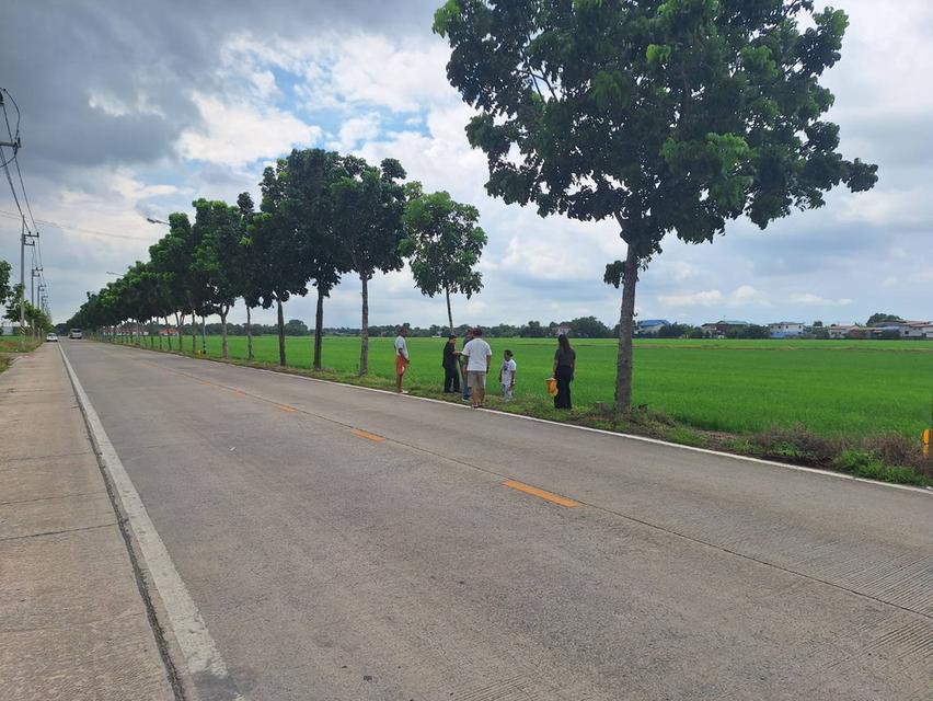 ขายที่ดิน 15 ไร่ ลำลูกกา ปทุมธานี 1
