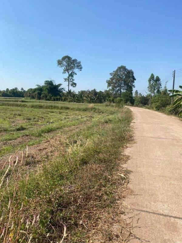 ขายที่ดินหลุดขายฝาก 7 ไร่ – ราคาพิเศษสุดในพื้นที่ อ.ศรีมหาโพธิ จ.ปราจีนบุรี 2