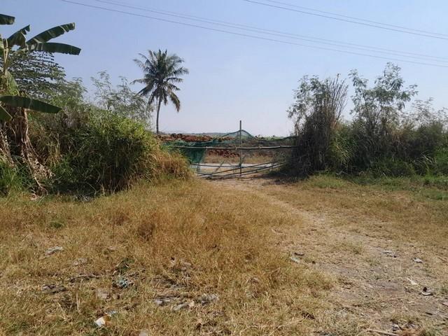 ฝากไว้ให้พิจารณานะคะ ที่ปากช่อง 2ไร่- 8ไร่ โฉนด ต.วังไทร อ.ปากช่อง จ.นครราชสีมา ไร่ละ 2.9 ลบ.สูงจากระดับน้ำทะเลมาก น้ำไฟ 2