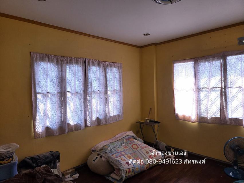 🔥 ขายต่ำกว่าราคาประเมิน! แปลงมุม "ทรงถุงเงิน" 62.2 ตร.ว. (ฟรีโอน) เจ้าของขายเอง - หมู่บ้านชัยพฤกษ์ บางขุนเทียน 12