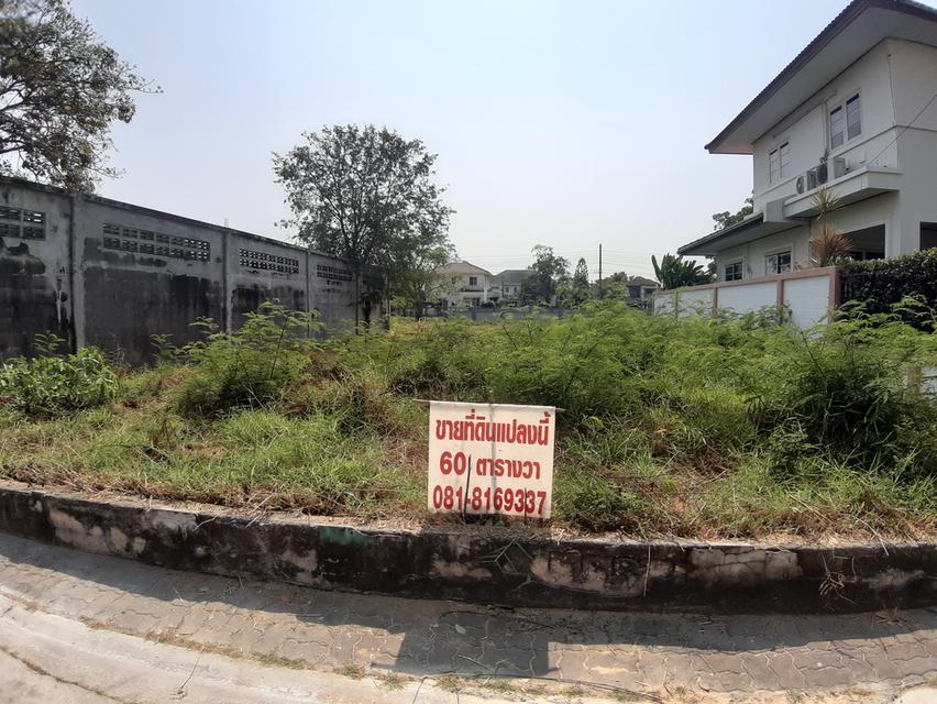 ที่ดินหมู่บ้านชัยพฤกษ์ บางพลี ซอย 22 2